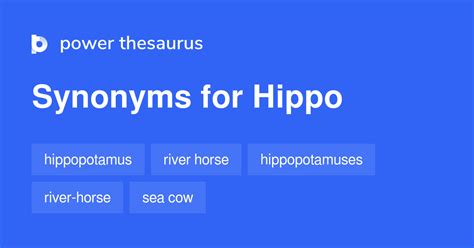 synonyms hippo